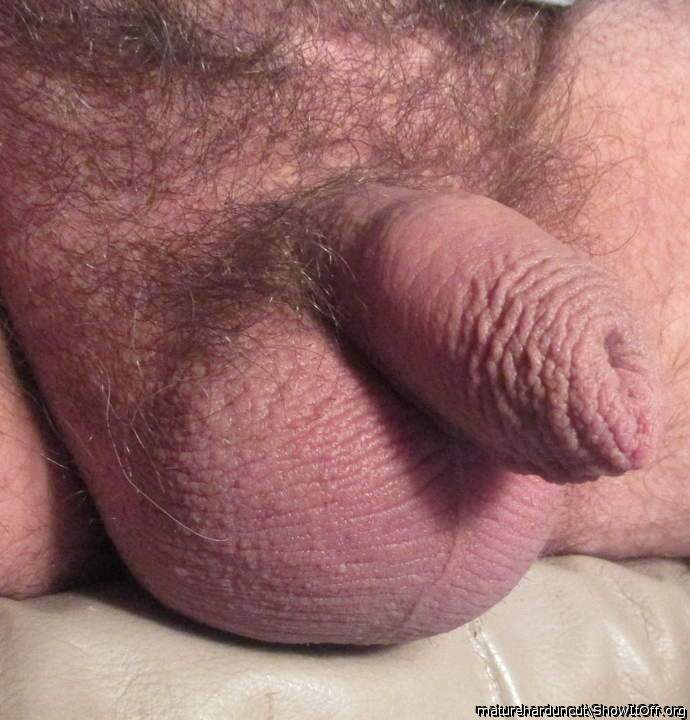 beautiful penis 
