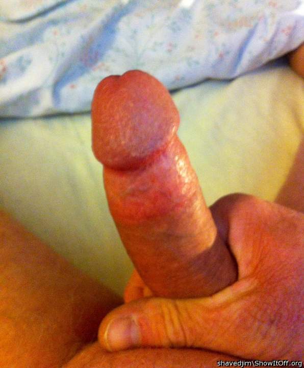 My Favorite Toy