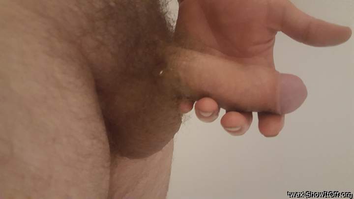 Photo of a cavalier from twax