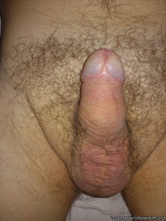 Christmas dick  