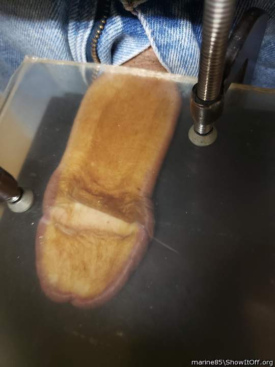 Flattened cock