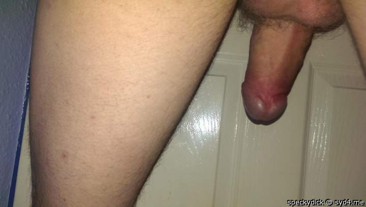 Photo of a lizard from speckydick