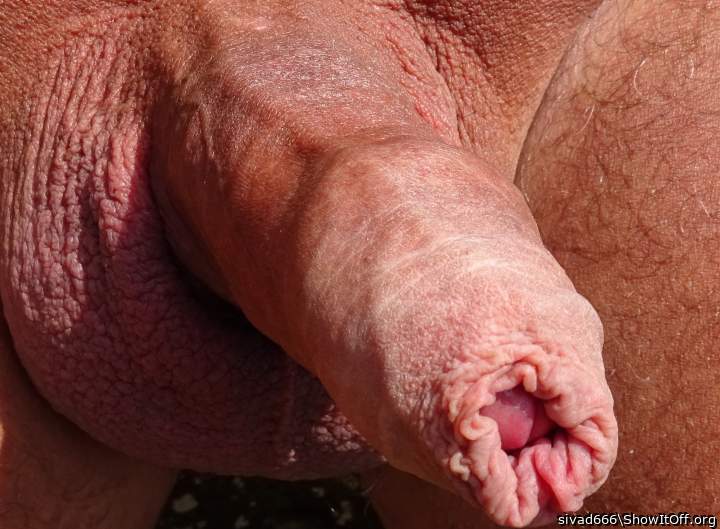 would love 2 play with ur foreskin 