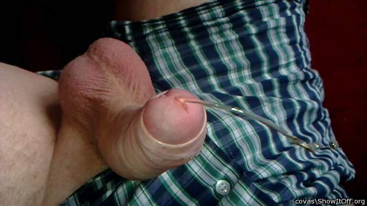 Photo of a wiener from covas