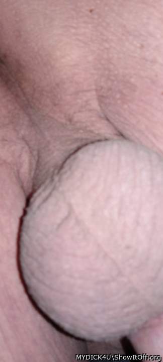 Photo of a third leg from MYDICK4U