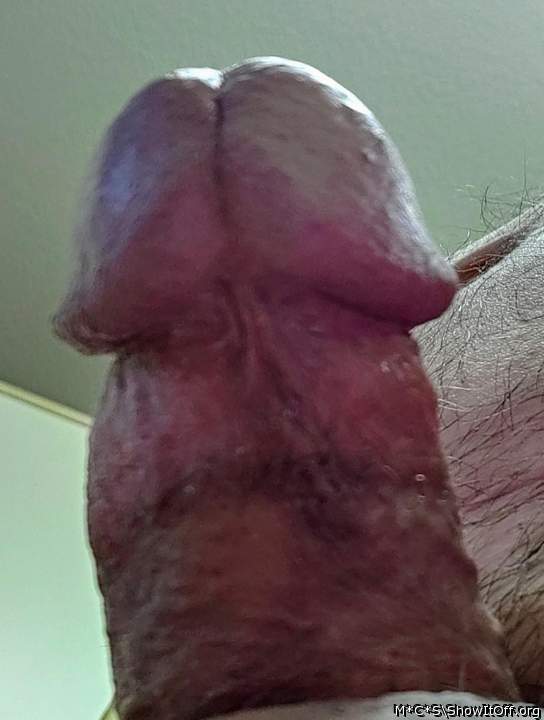 Photo of a pecker from M*C*S