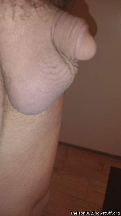 Photo of a ram rod from Tnelson88