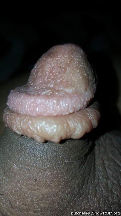 Photo of a dong from butcher49