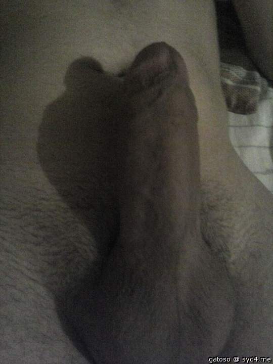 Photo of a pecker from gatoso