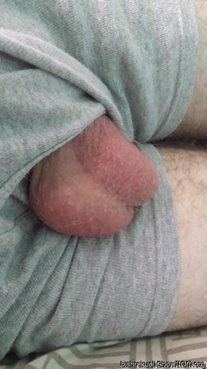 Testicles Photo from bishrekual