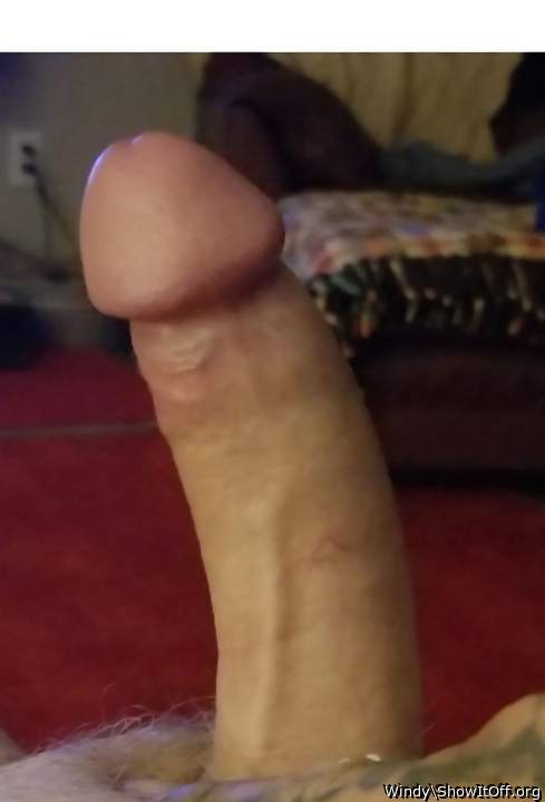 Photo of a cock from Windy