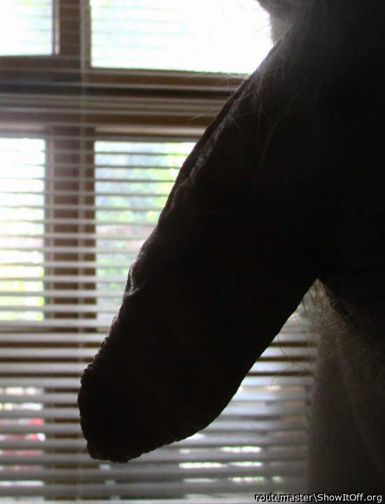My early morning uncut dick, 23.6.23