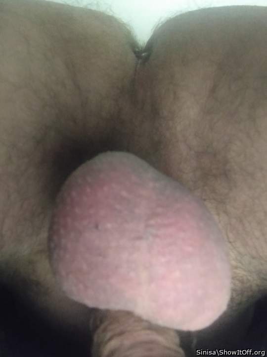 Testicles Photo from Sinisa