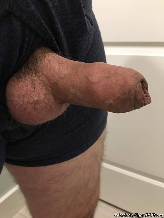 Photo of a dick from zebraboy