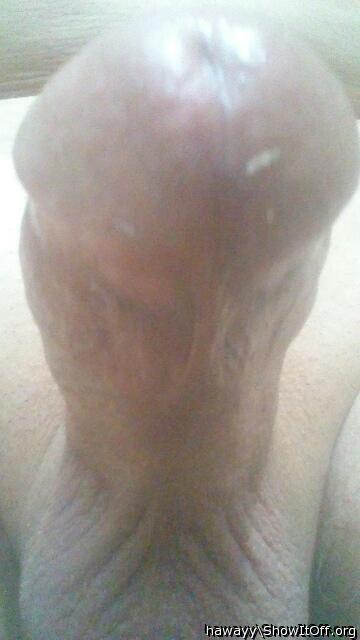 Photo of a drain pipe from hawayy