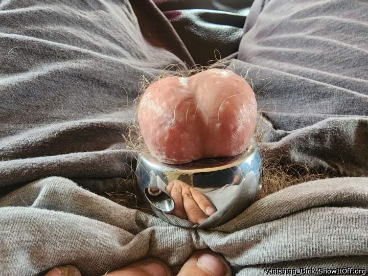 Testicles Photo from vanishing_Dick