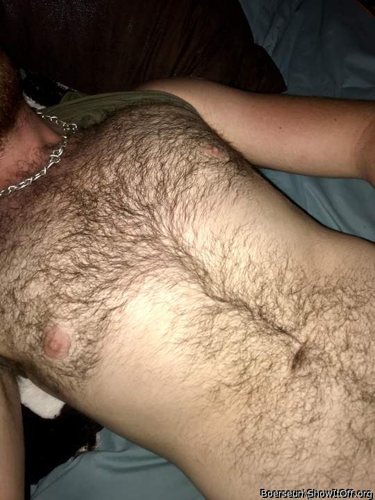 Magnifivcent chest carpet and good covering of belly hair to