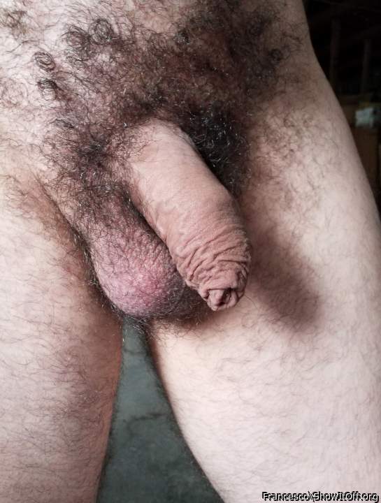     beautiful bush and uncut cock