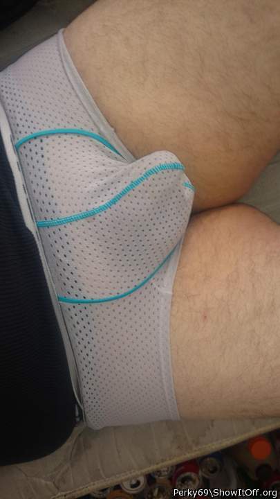 Photo of a bat from Perky69