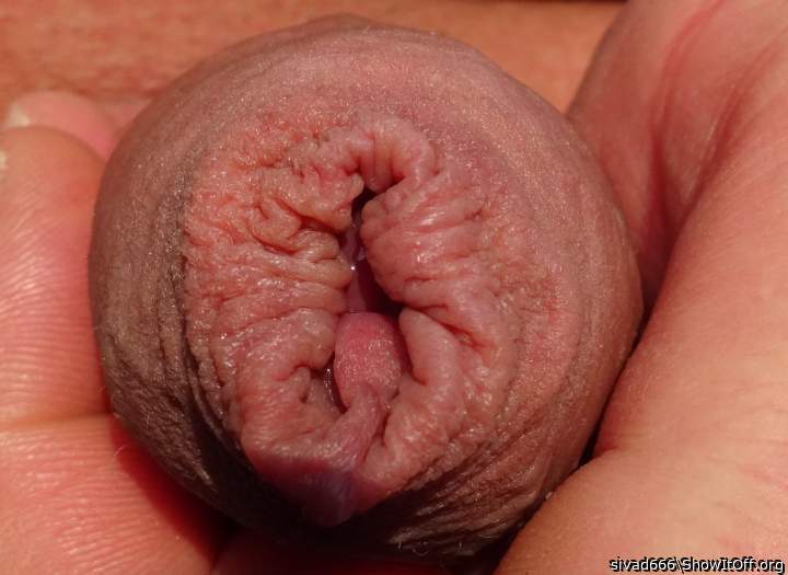 Photo of a phallus from sivad666