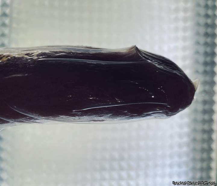 Condom stock photo