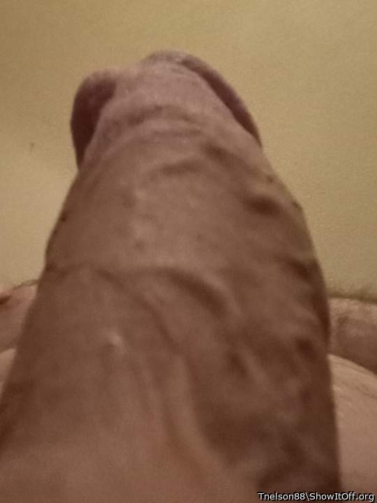 Photo of a penis from Tnelson88