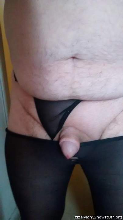 Photo of a middle leg from zizelyian