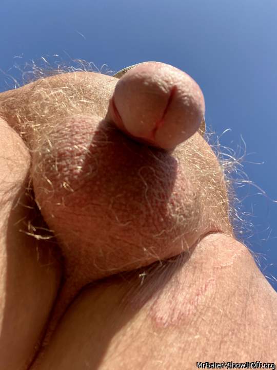 Photo of a schlong from MrBater