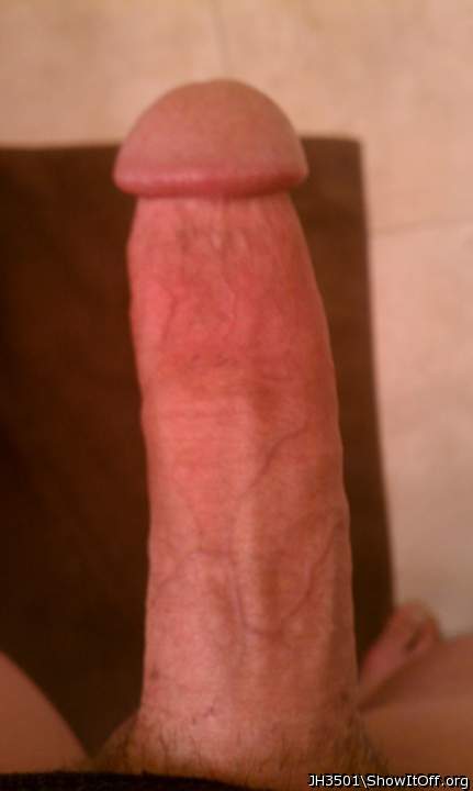 Photo of a horn from JH3501