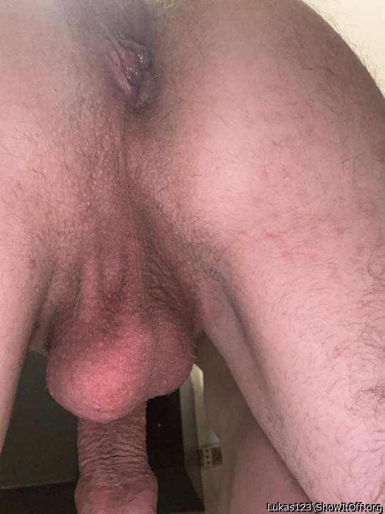Photo of a horn from Lukas123