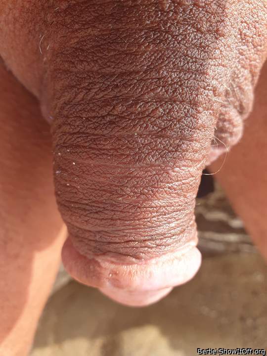 Thank you for your kind comment 
