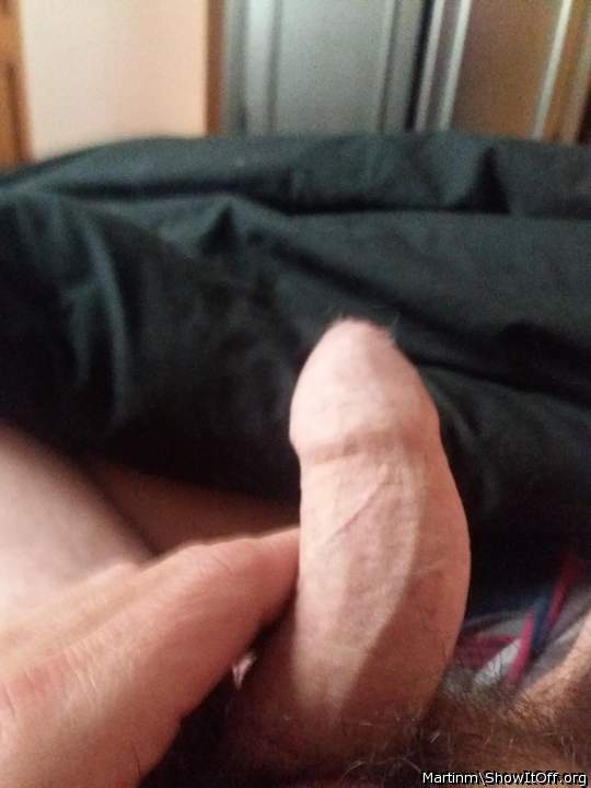 Photo of a middle leg from Martinm