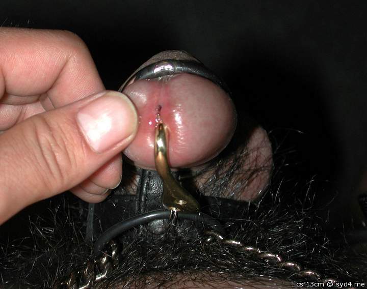 Photo of a wiener from csf13cm