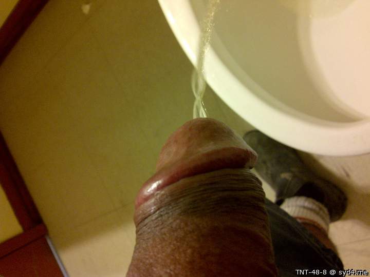 Photo of a pecker from TNT-48-8