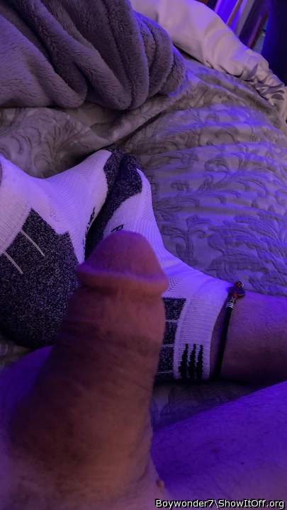Photo of a bat from Boywonder7
