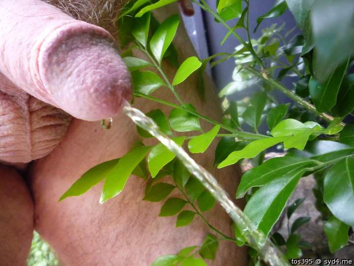 One way to water the plants!