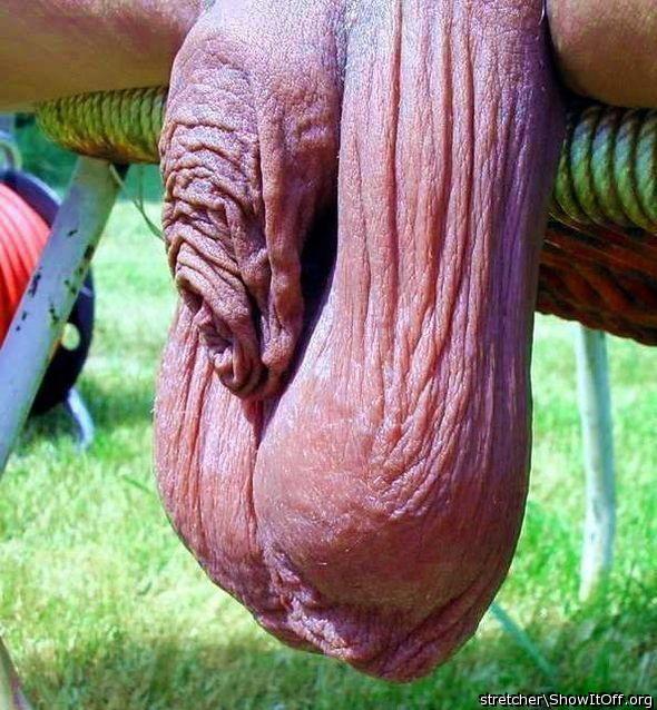 geiler sack    