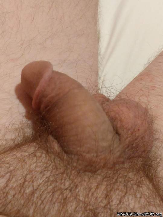 Photo of a schlong from Alf4269