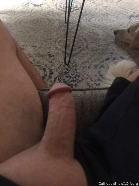 Nice looking cock!  