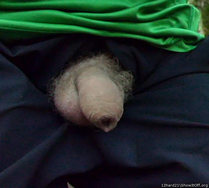 Photo of a pecker from 12hard21
