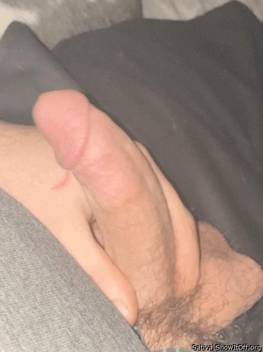 Photo of a wiener from Sativa