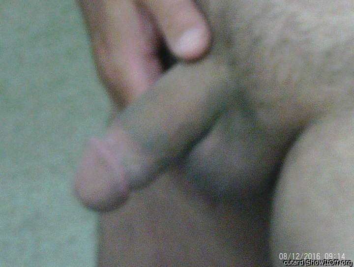 Photo of a third leg from cutard