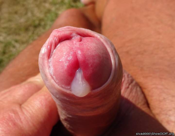 Photo of a drain pipe from sivad666