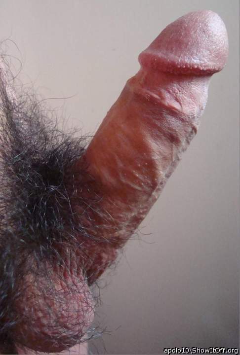furry