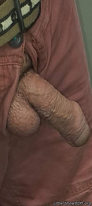 Photo of a stiffie from Little