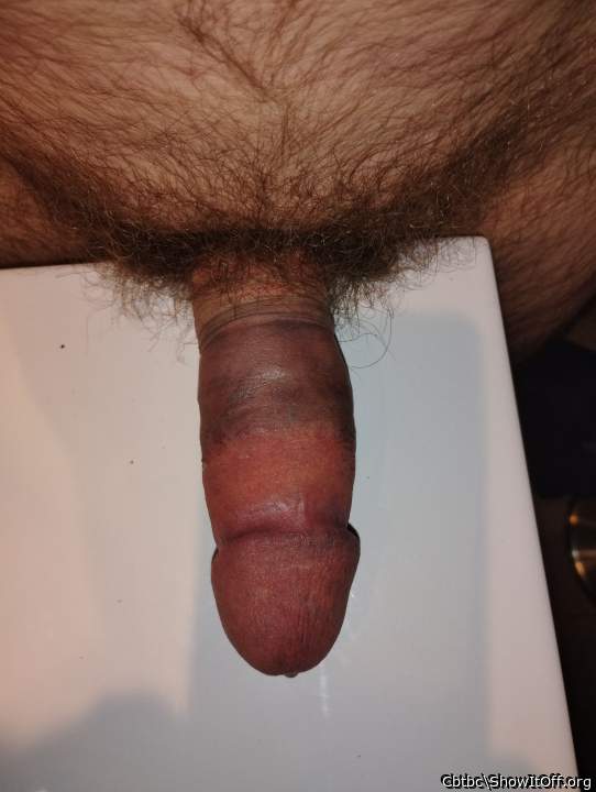 Photo of a bat from Cbtbc
