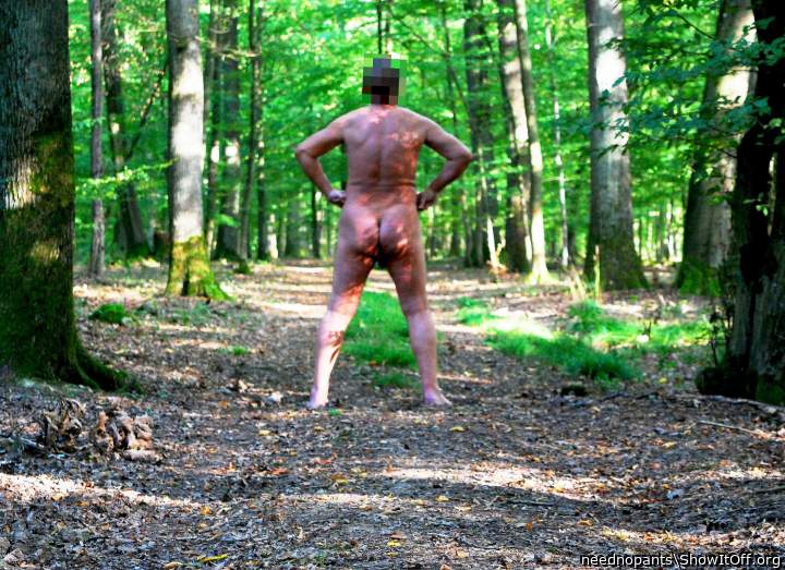 Adult image from neednopants