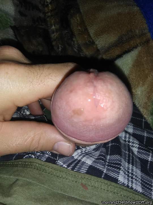 Photo of a bald-headed mouse from morning234