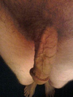 bone3