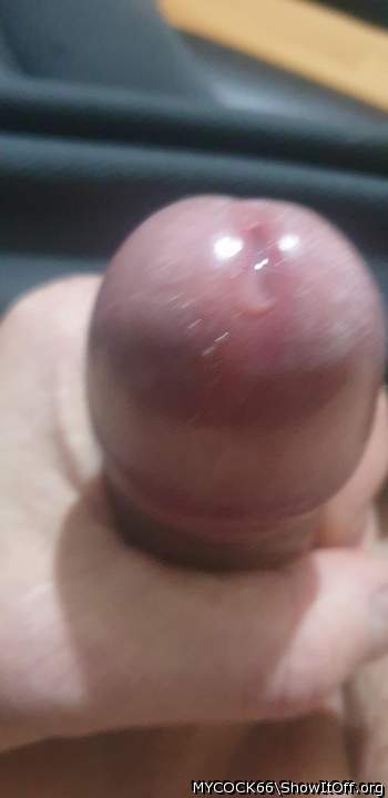 Photo of a third leg from MYCOCK66